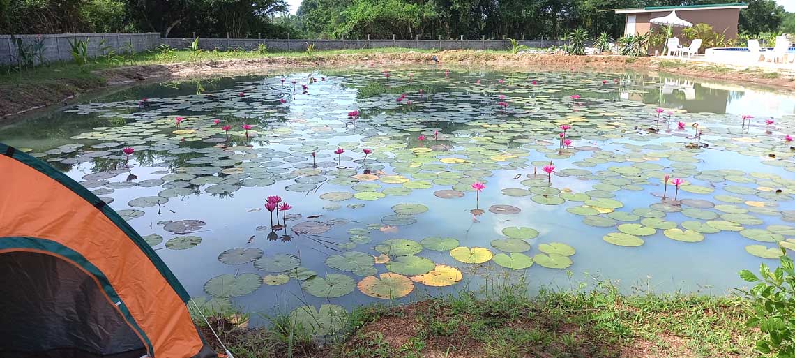 Talay Bua Daeng camping