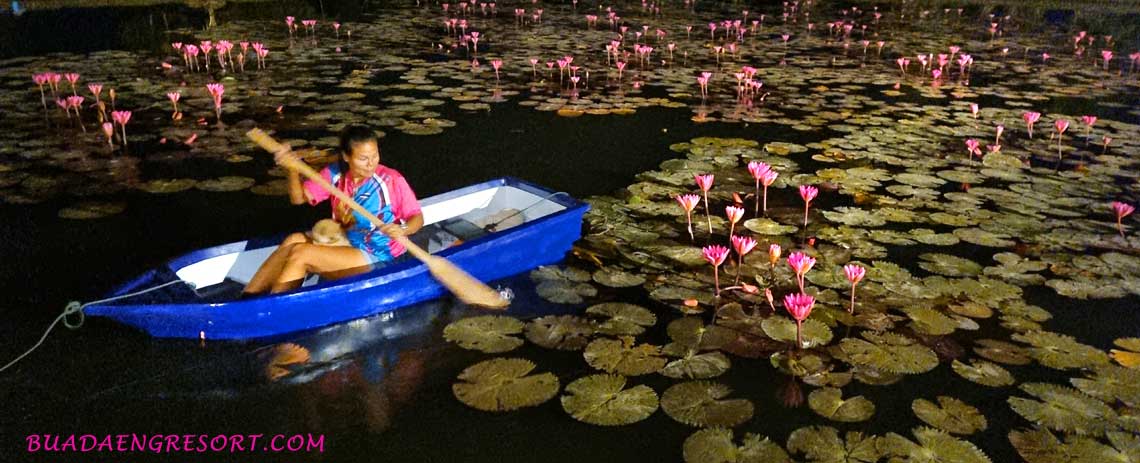 The huts around the lake at Bua Daeng Homestay Resort are the perfect place to enjoy some relaxing time