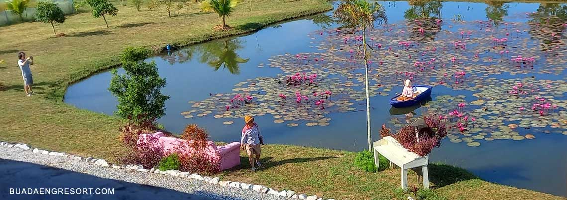 accommodation at the lotus lake